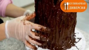 МАСТЕР-КЛАСС: ТОРТ ПЕНЬ. ШОКОЛАДНАЯ КОРА и СЪЕДОБНЫЙ МОХ