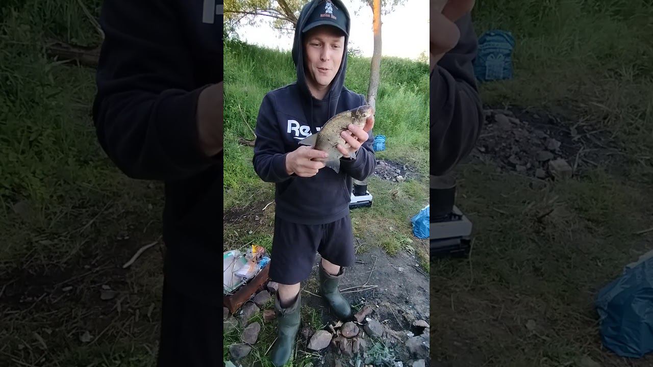 Поймали на донку подлещика на Волге. #shortvideo #fishing #рыбалка #fishingvideo #рыбалка2024 смотреть онлайн