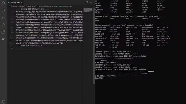 Generate Public Private Key In Windows 10 Using Openssl