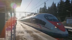 ЭВС1-11 Сапсан и ЭТ2М 108 проезжают станцию Радищево