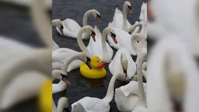 Здесь оказалось что-то лишнее смотреть онлайн