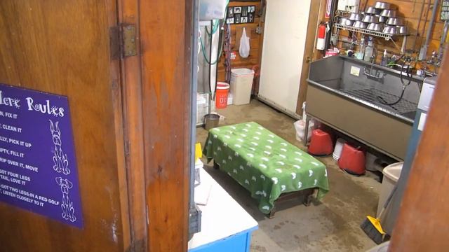 Arena kennels pm feedings Tom closing duties Walter Megan 2212018 смотреть онлайн