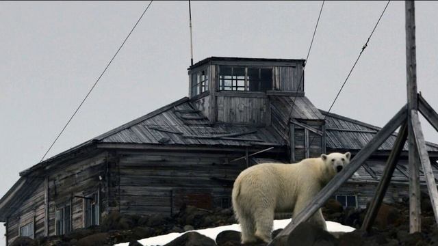 Остров Котельный жемчужина Арктики. Почему он заинтересовал Шойгу смотреть онлайн