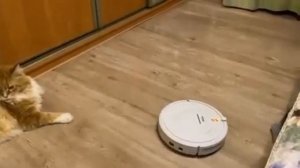 Робот пылесос за копейки Kitfort