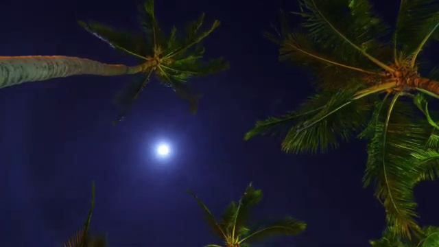 Moon light piano music 🎶for mind relaxation • #relaxingmusic_sdalua смотреть онлайн