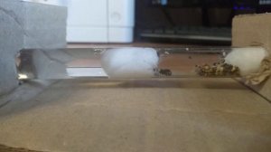 у меня появились две матки муравьев (перезолив)