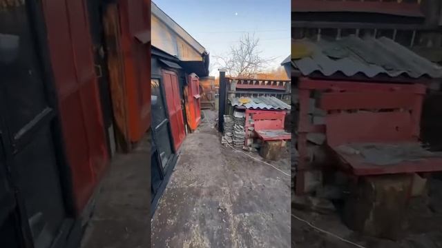 Наши кролики | ДАЧА смотреть онлайн