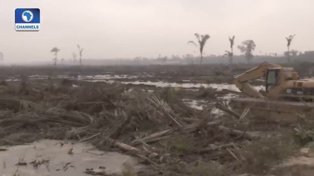 Dangote Channels Documentary смотреть онлайн