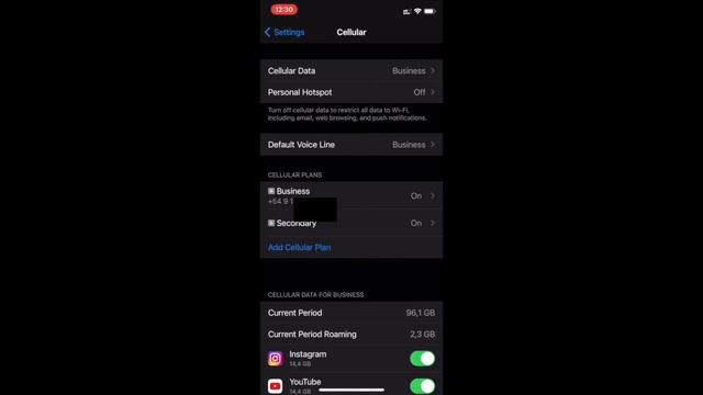 Como usar dos lineas de celular en tu iPhone Dual SIM смотреть онлайн