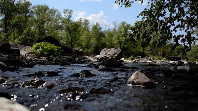 Звуки природы, пение птиц, Звуки Леса, для релаксации, сна (Official Music Video) #12