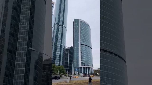 ЛИТВИН пока итоги подвожу, посмотрите на этого тигра✌🏽😅 смотреть онлайн