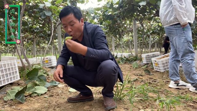【ENG SUB】老白身为舅舅很威严，随时不忘使唤大外甥，叫他干啥必须干啥 смотреть онлайн