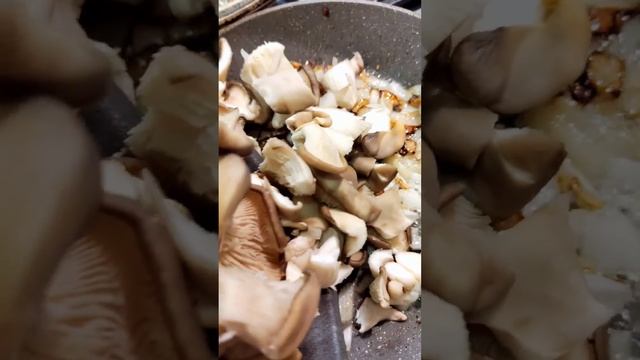 #вешенки #грибы #знаю , что все умеют жарить грибы очень вкусно ❤️ смотреть онлайн