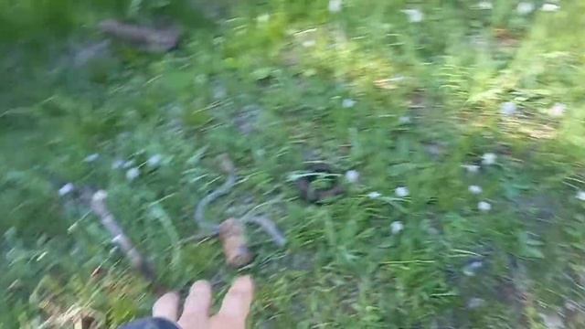 Пропущенные сигналы или КОП на битых местах.... смотреть онлайн