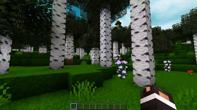 Minecraft Tall Birch Forest Seed