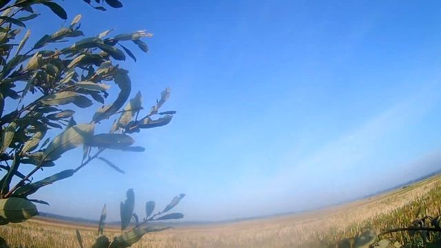 открытие охоты 2021 самодельные скорлупки вяхиря в деле смотреть онлайн