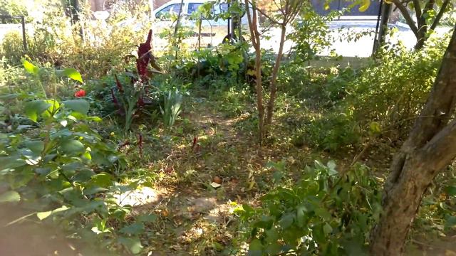 Шикарная погода смотреть онлайн