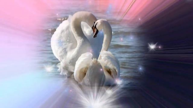 "ЛЮБОВЬ УСТАВШИХ ЛЕБЕДЕЙ" (Love of tired swans..) смотреть онлайн