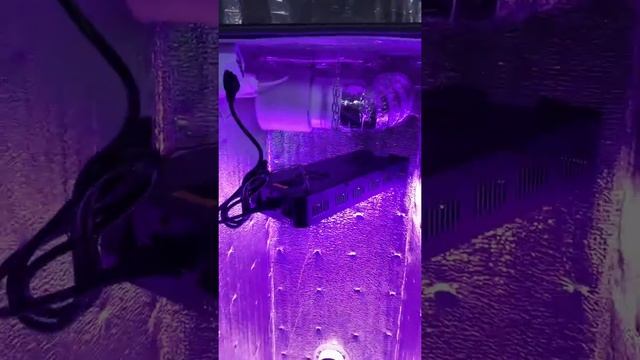 Гроубокс 130х50х50 Plant Light 120W смотреть онлайн
