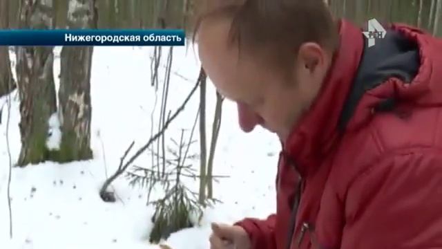 В нижегородской области в лесу местные жители случайно наткнулись на очень жуткое место смотреть онлайн