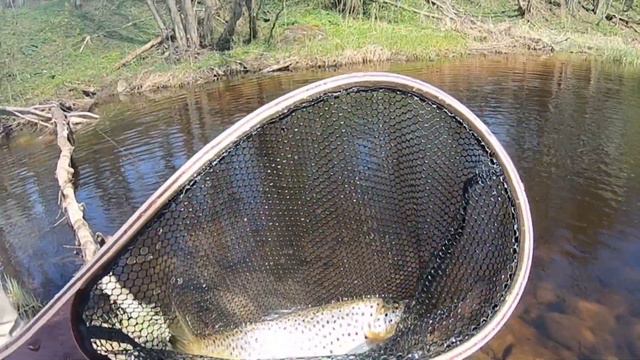 Первая форель 2019 года смотреть онлайн