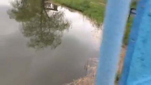 Найти зверя.... смотреть онлайн