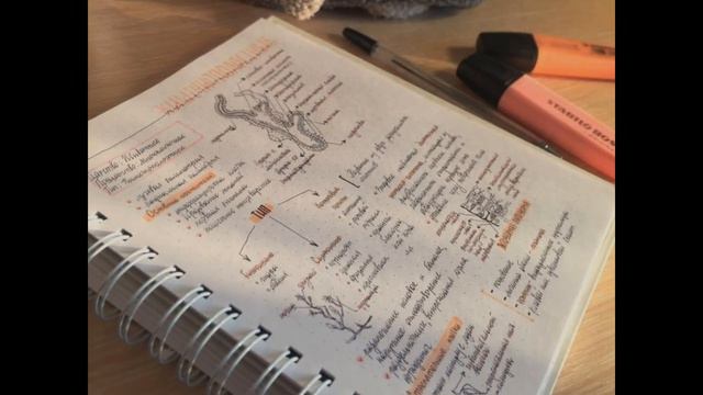 Саблиминал хорошие оценки/ успешная сдача экзамена/ аттестат с отличием/ поступление в желанный ВУЗ смотреть онлайн