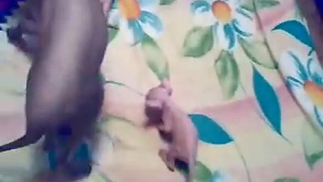 Наомка с детьми смотреть онлайн