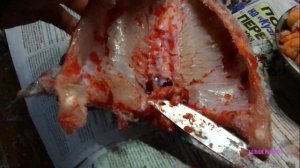 НАЛИМ. Деликатесы из налима на рыбалке. ИКРА. ФИЛЕ. ПЕЧЕНЬ.