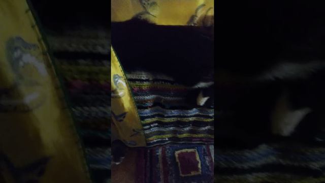 Батарея-грелка смотреть онлайн