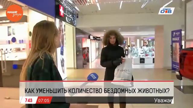 Опрос: Как уменьшить количество бездомных животных? смотреть онлайн