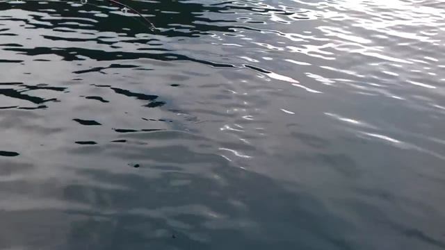 Таймыр, плато Путорана, озеро Лама, ловля арктического гольца смотреть онлайн