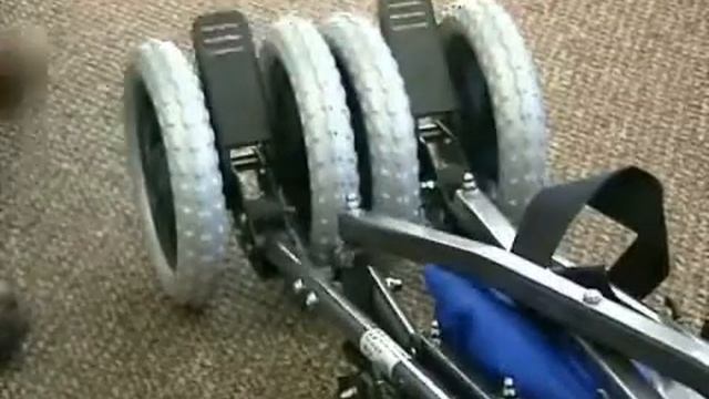Eco Buggy Pediatric Mobility System
