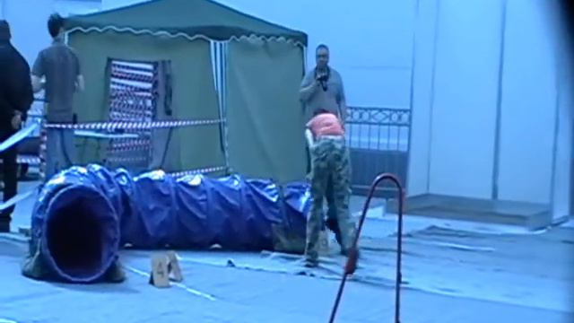 Малышка и Алина Старцева смотреть онлайн