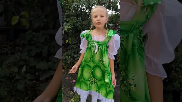 Заявка 429. Соня Шамина - "Гармонь моя, гармоночки" смотреть онлайн