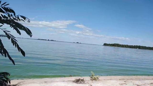 Жарим сосиски на природе смотреть онлайн