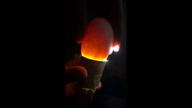 Setting up a egg box for ball python eggs смотреть онлайн