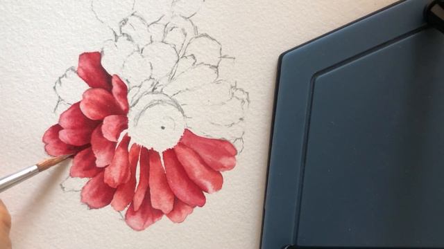 [베리현 수채화_무삭제 원본파일] 백일홍 그리기 #1 Watercolor painting flower tutorial Watercolour Zinnia elegans 수채화 смотреть онлайн