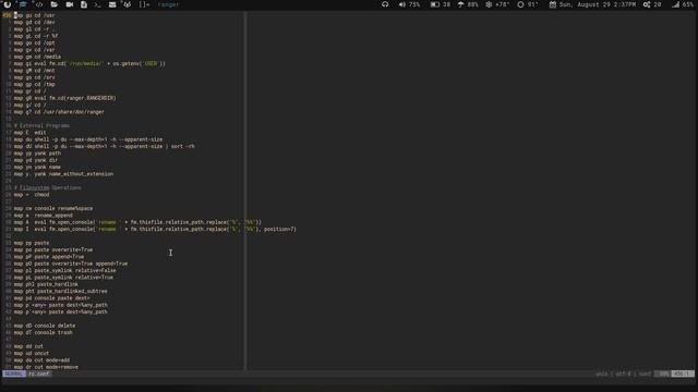 My linux terminal file manager set up with drag and drop functionality смотреть онлайн