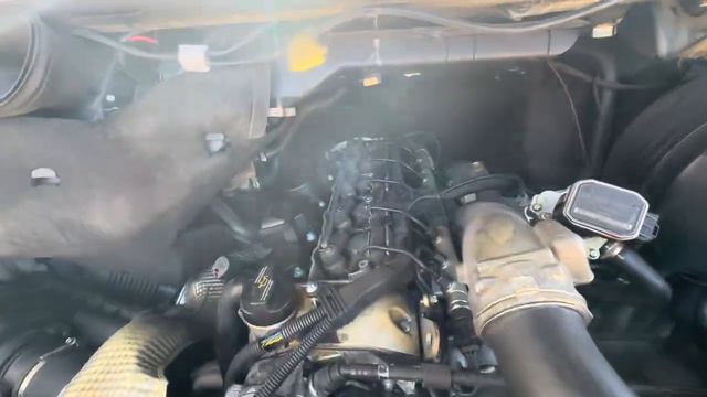 Checking if my 2006 Sprinter has The Black Death. Bad News or Good News? смотреть онлайн