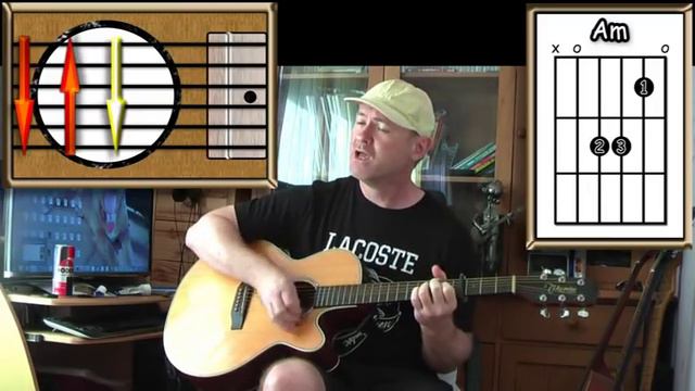 First Of The Gang To Die - Morrissey - Acoustic Guitar Lesson смотреть онлайн