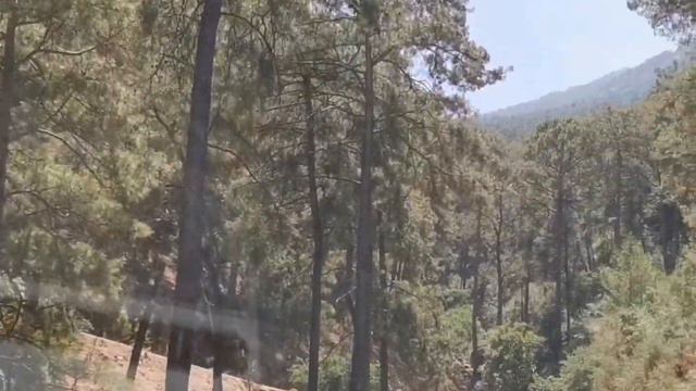 Горная дорога.Леса до пожаров. Олюдениз. Турция. смотреть онлайн