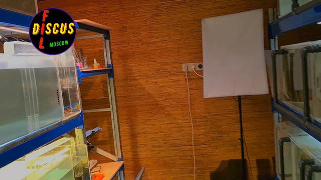 ОБУСТРОЙСТВО РАЗВОДНИ №2 смотреть онлайн