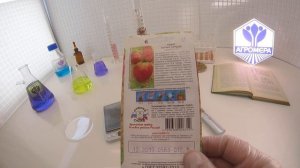 Томат Бычье Сердце (золотое). СеДеК