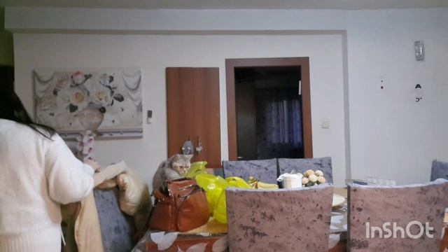 Скупаемся ко дню рождения Ярина!Чай крепкий сон! смотреть онлайн