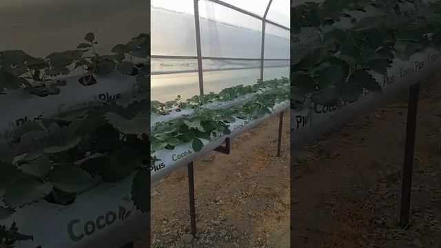 24 октября 2023 г. смотреть онлайн