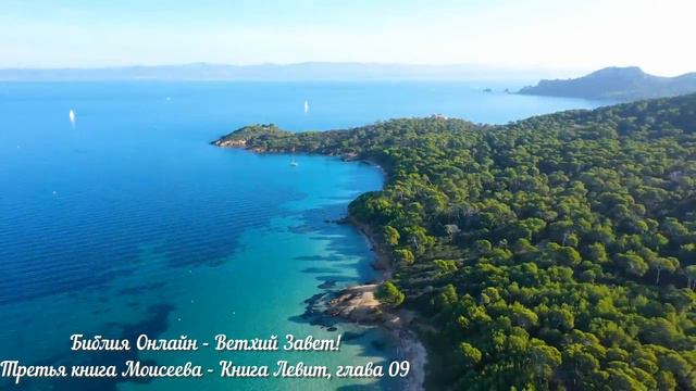 Библия Онлайн - Книга Левит, глава 09 смотреть онлайн