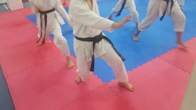 Наработка ёри аси кизами цуки с акцентом на толчок задней ноги смотреть онлайн