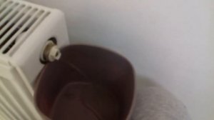 #85. КАК СПУСТИТЬ ВОЗДУХ ИЗ РАДИАТОРА ОТОПЛЕНИЯ? Удаляем ВОЗДУХ из БАТАРЕИ