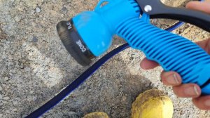 Заказала шланг для полива😁